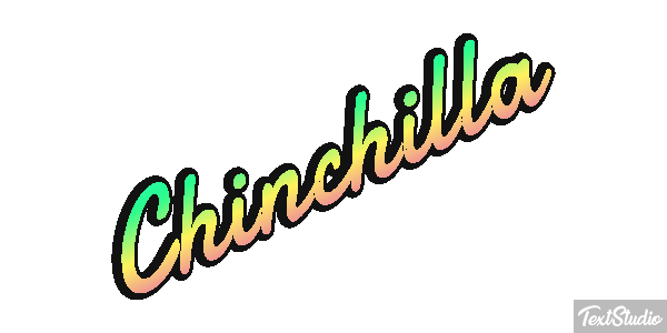 Chinchilla Effet de texte