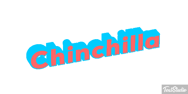 Chinchilla Effet de texte