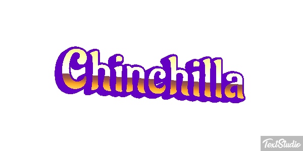 Chinchilla Effet de texte