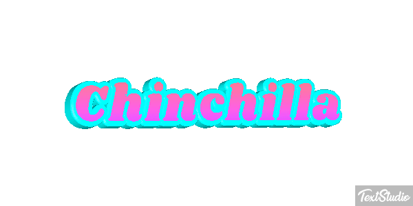 Chinchilla Effet de texte