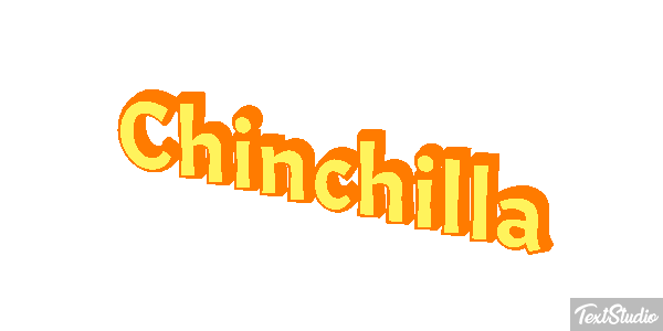 Chinchilla Effet de texte