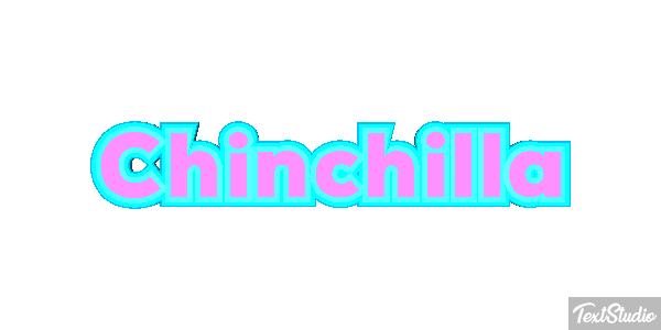 Chinchilla Effet de texte
