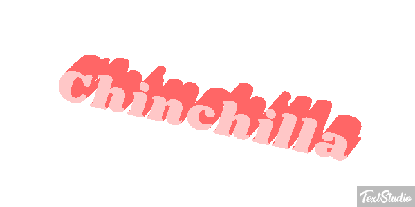 Chinchilla Effet de texte