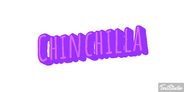 Chinchilla Effet de texte