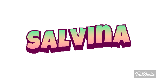 Salvina Текстовый эффект