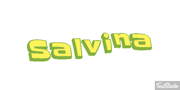 Salvina Текстовый эффект