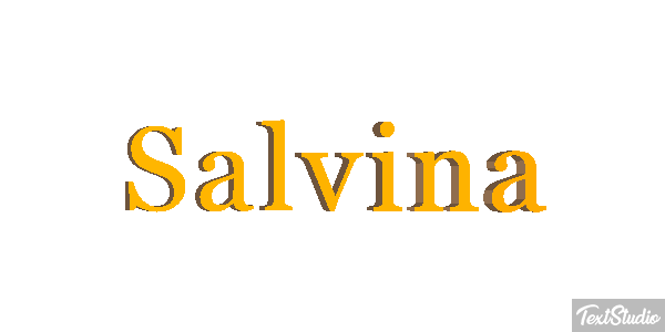 Salvina Текстовый эффект