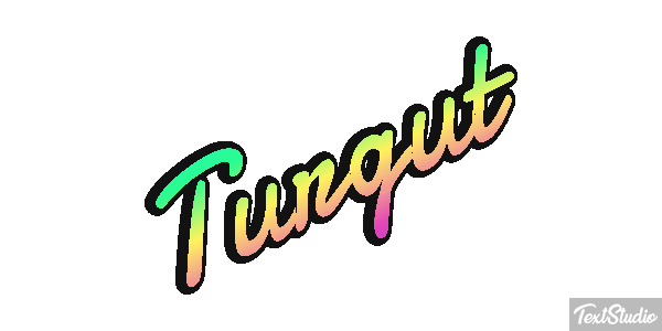 Turgut Metin efekti