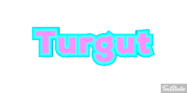 Turgut Metin efekti