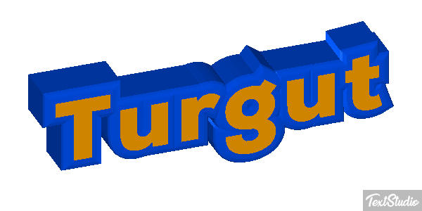 Turgut Metin efekti