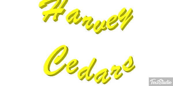 Harvey Cedars テキスト効果