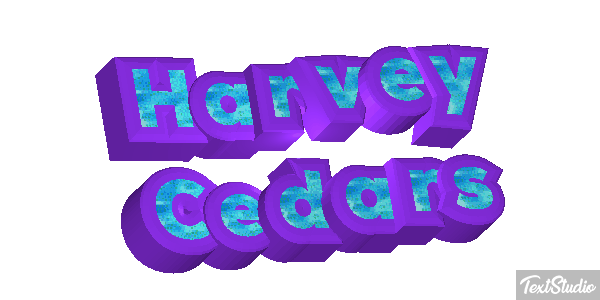 Harvey Cedars テキスト効果