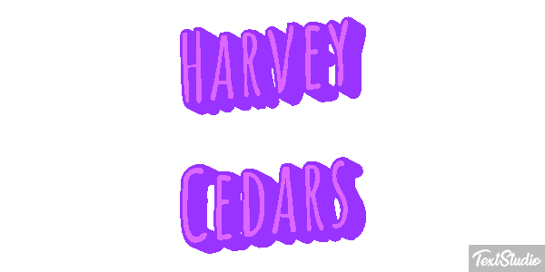 Harvey Cedars テキスト効果