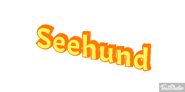 Seehund Texteffekt