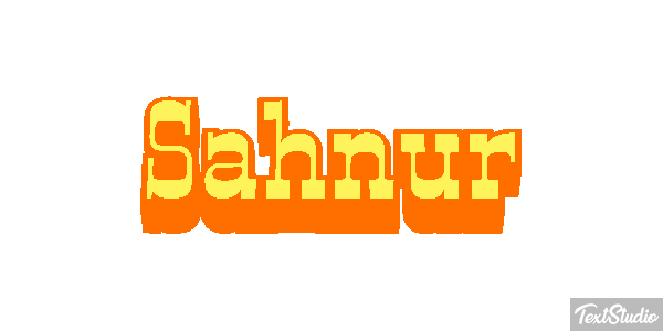 Şahnur Текстовый эффект