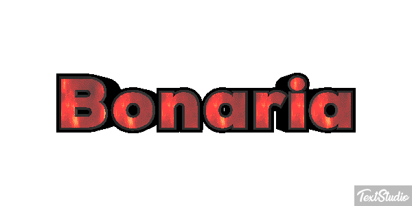 Bonaria Effetto testo