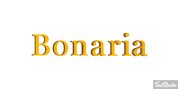 Bonaria Effetto testo