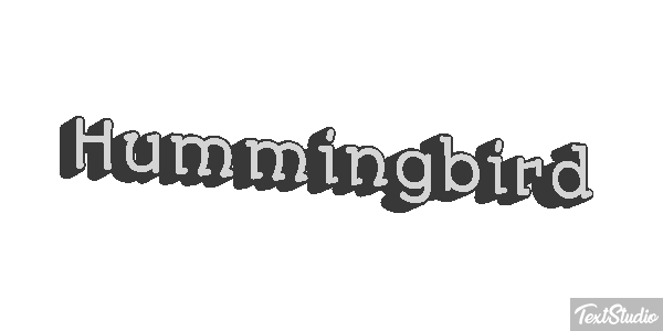 Hummingbird Text effect