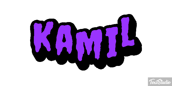 Kamil Efekt tekstowy