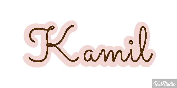 Kamil Efekt tekstowy