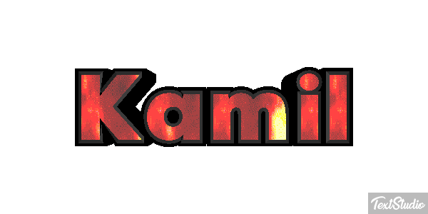Kamil Efekt tekstowy