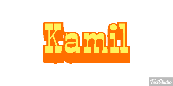 Kamil Efekt tekstowy