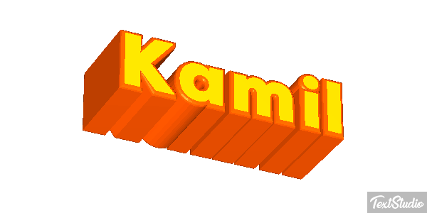 Kamil Efekt tekstowy