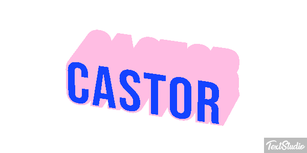 Castor テキスト効果