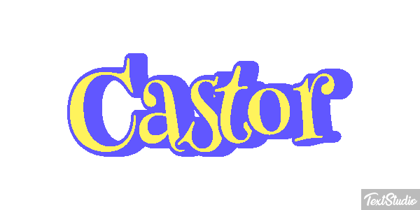Castor テキスト効果