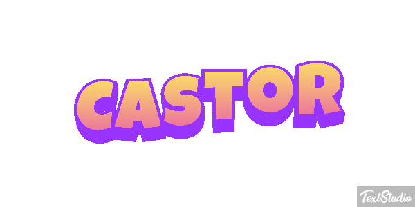 Castor テキスト効果