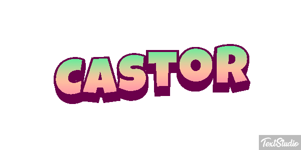 Castor テキスト効果