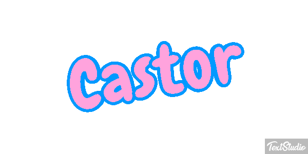 Castor テキスト効果