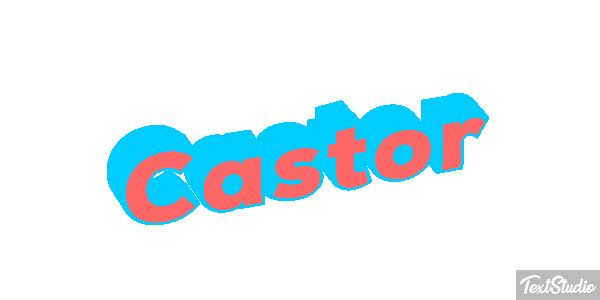 Castor テキスト効果