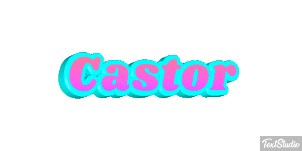 Castor テキスト効果