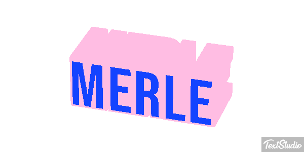 Merle Effet de texte