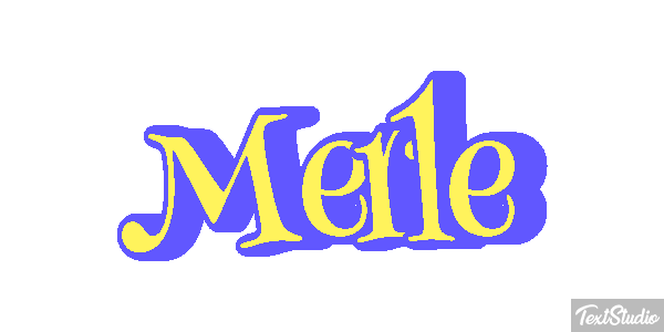 Merle Effet de texte