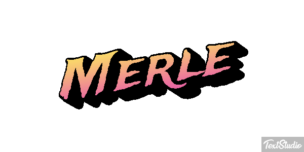 Merle Effet de texte
