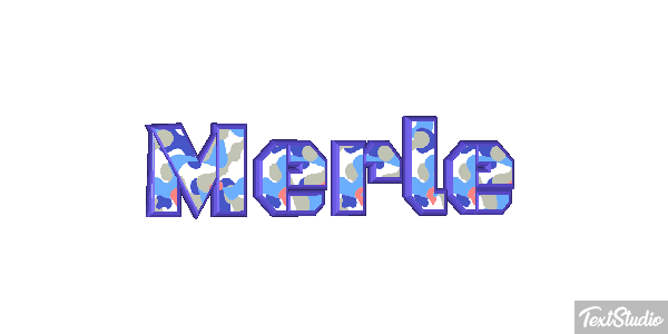 Merle Effet de texte