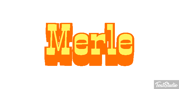 Merle Effet de texte