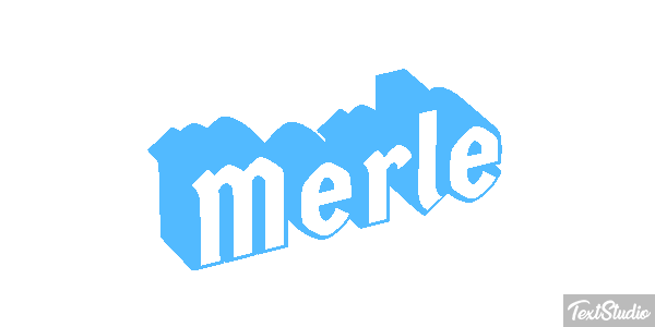 Merle Effet de texte
