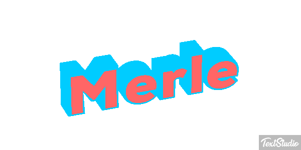 Merle Effet de texte