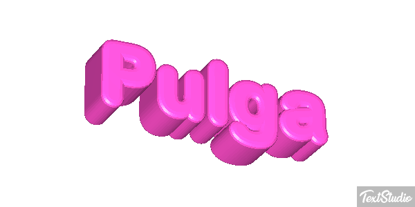 Pulga Texteffekt