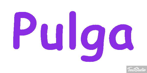 Pulga Texteffekt