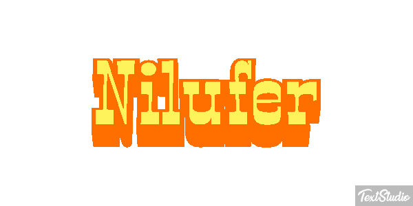 Nilüfer Efeito do texto