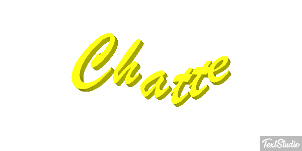Chatte Effet de texte