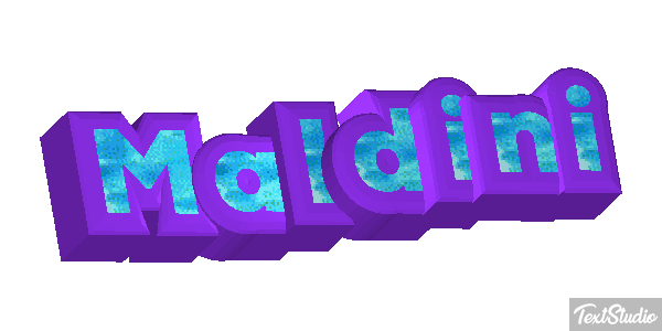 Maldini Effet de texte