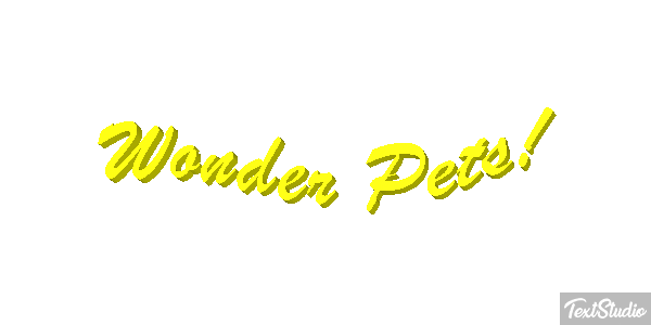 Wonder Pets! Texteffekt