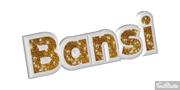 Bansi Text effect