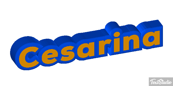 Cesarina Effetto testo