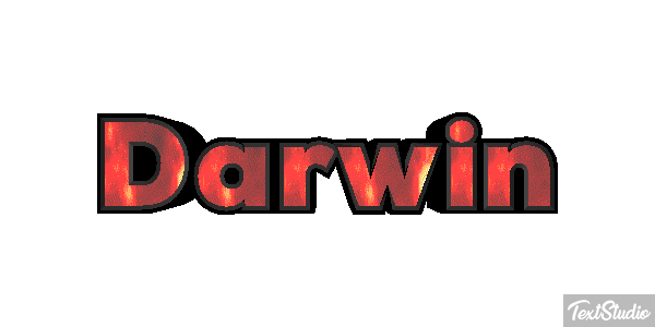 Darwin Metin efekti